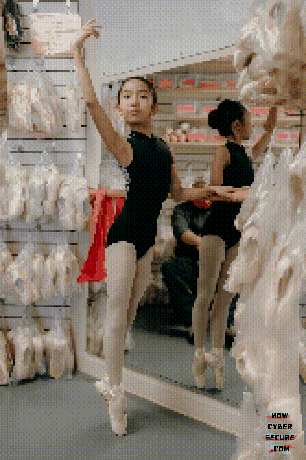 The Nutcracker of the New Jersey Ballet